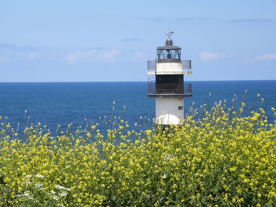 Lighthouse, Flowers, Galicia, blue, landscape, nature, sea, HD wallpaper