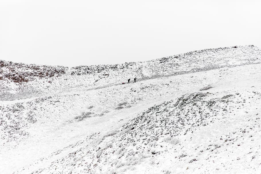 two person walking on the valley, untitled, mountain, field, hill HD wallpaper