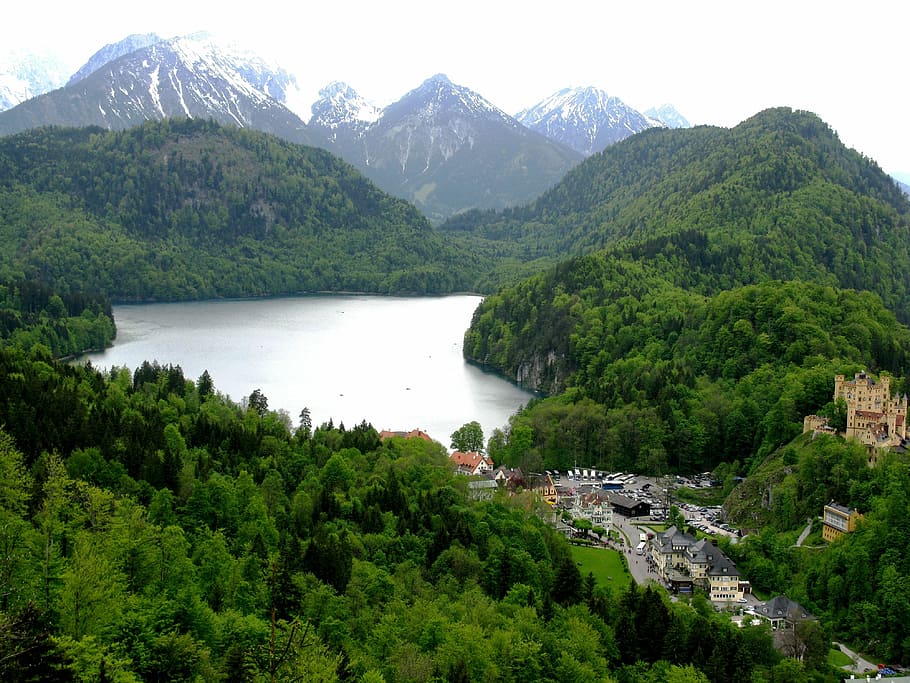 alpsee, hohenschwangau, forest, bavaria, water, germany, nature, HD wallpaper