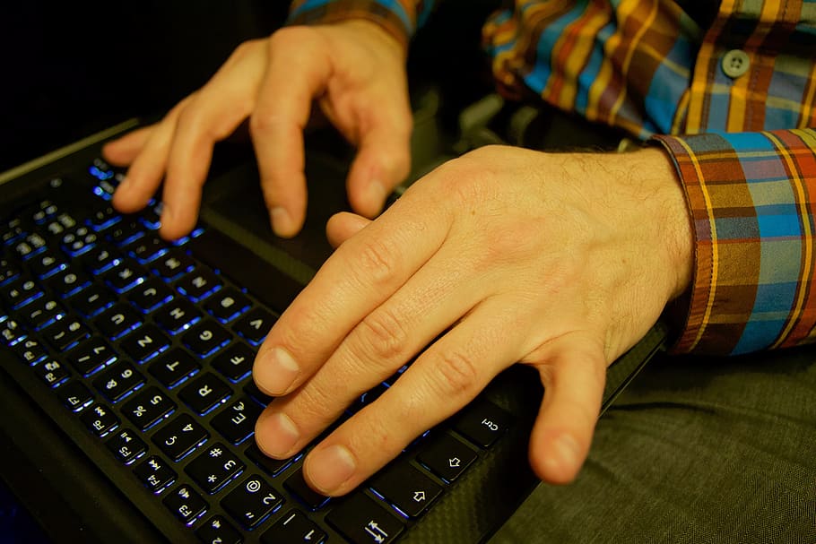 laptop, pc, hands, work, tap, leave, technology, human hand HD wallpaper