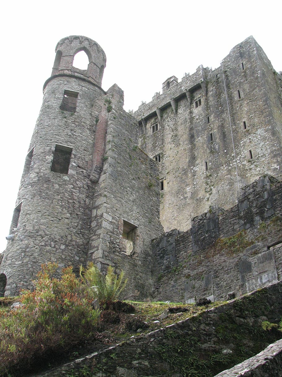 blarney castle, ireland, cork, history, the past, architecture, HD wallpaper