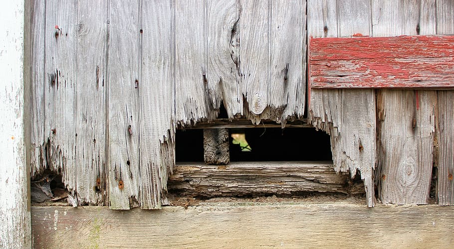 Texture, Wood, Paint, Grain, Rust, Decay, weathered, wood texture HD wallpaper