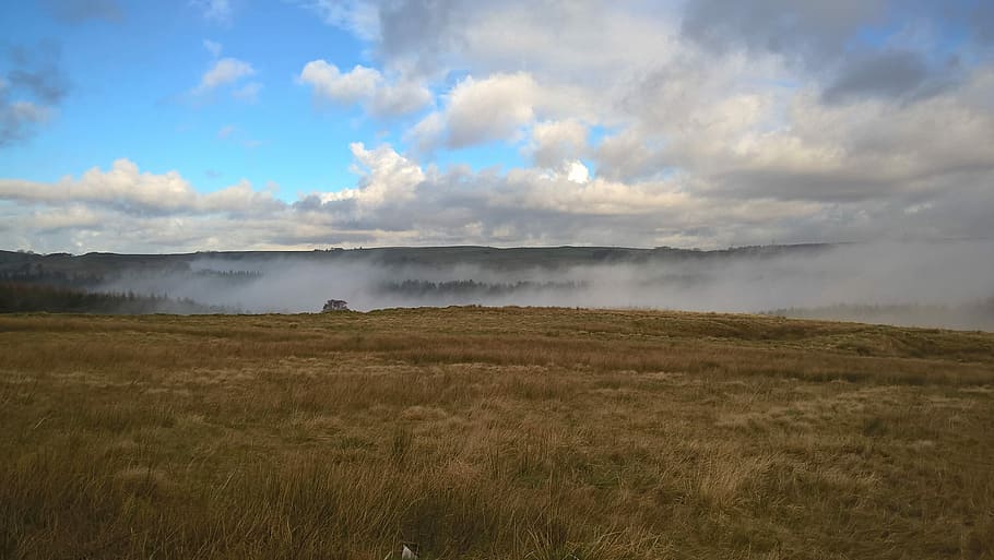 Landscape, Mist, Moor, sky, cloud - sky, nature, field, beauty in nature HD wallpaper