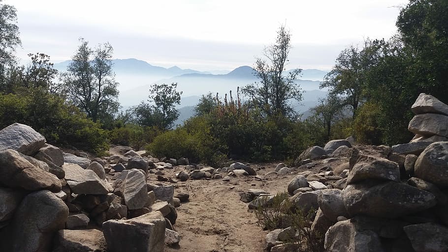 Rocks, Landscape, Trail, Mountain, tree, forest, no people HD wallpaper