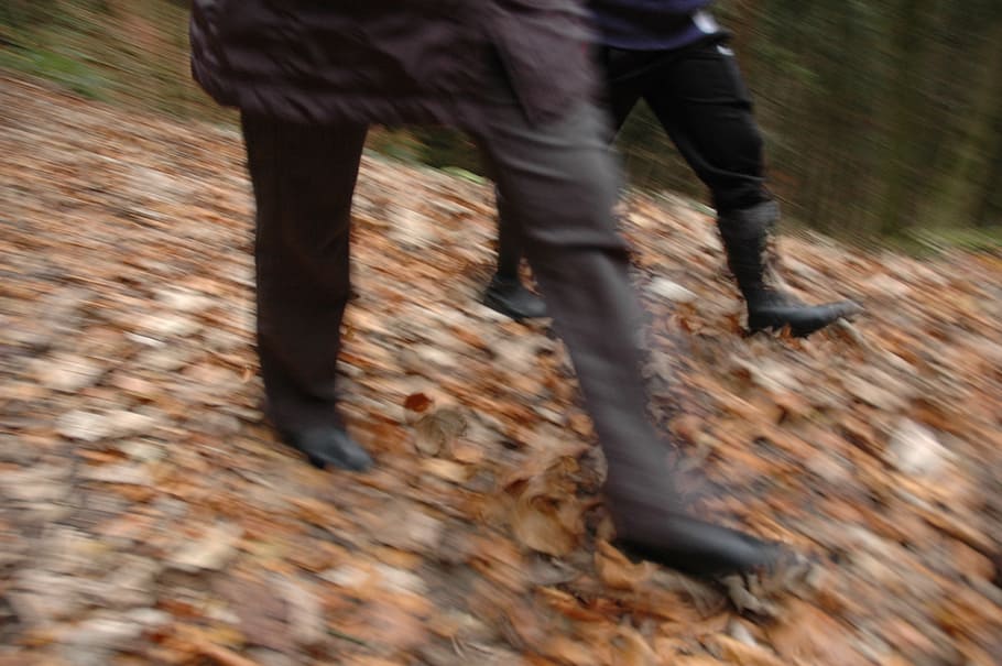 movement, run, go, walk, autumn, leaves, fast, hiking, the foot HD wallpaper