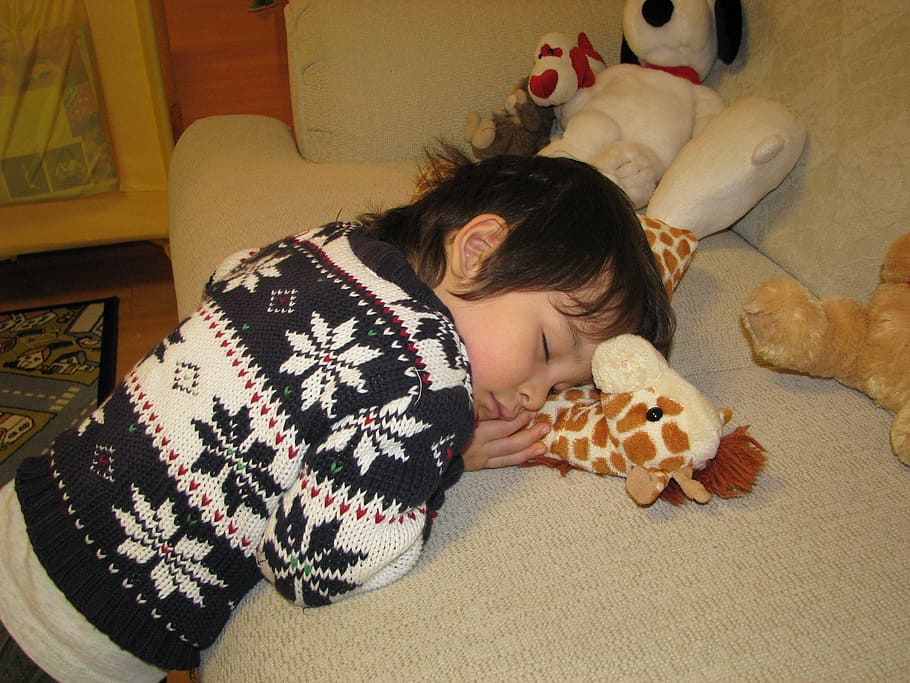boy sleeping on gray sofa, Tired, Cute, Child, kid, resting HD wallpaper