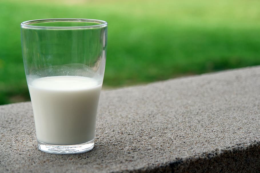 selective focus of clear drinking glass, white, milk, goat HD wallpaper
