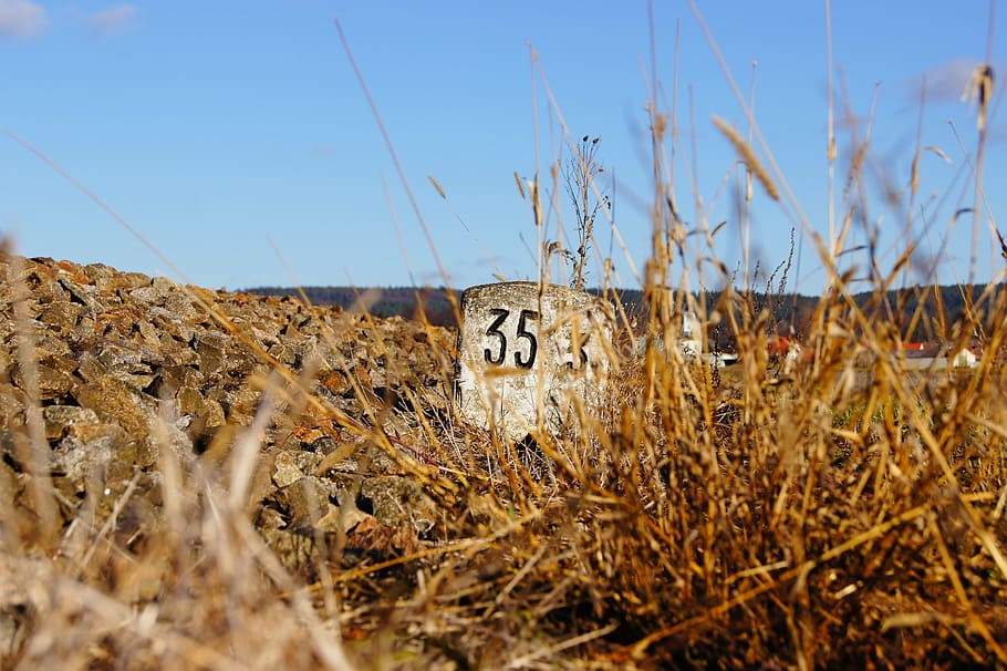 milestone, landmark, mileage, railway, one animal, animal themes HD wallpaper