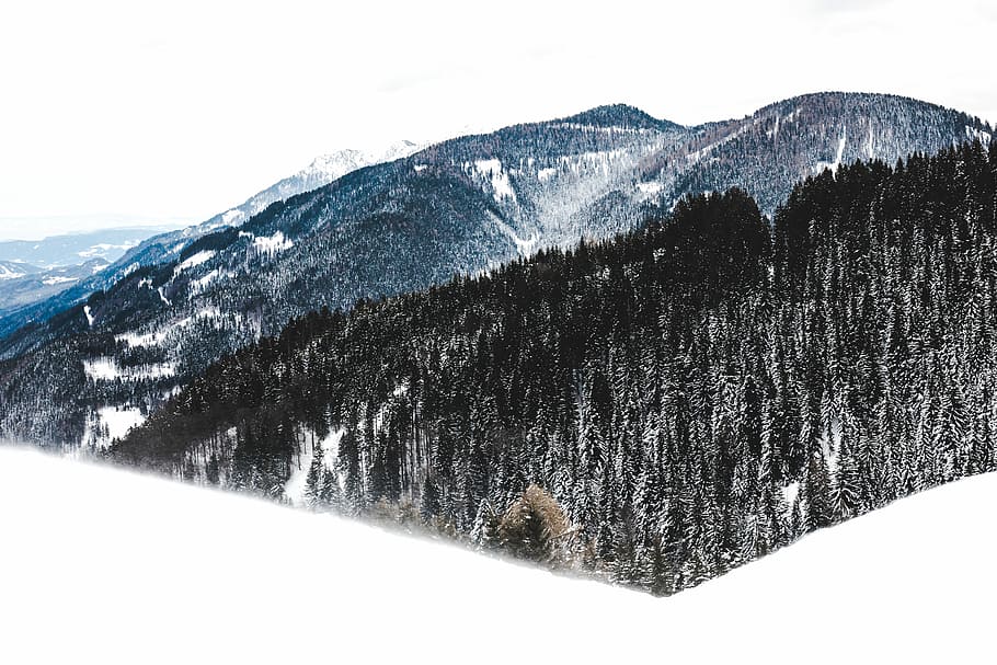 snow covered mountains at daytime, trees near hill covered with snow HD wallpaper