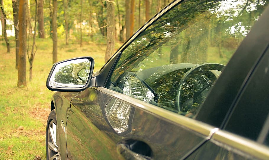 forest, walk, woods, auto, mercedes, glass, car, driving, parking HD wallpaper