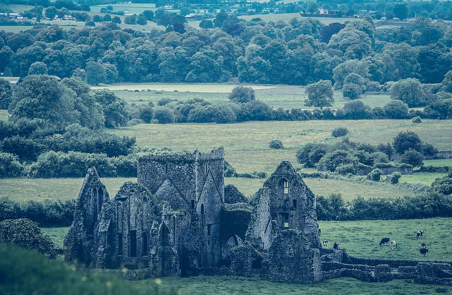 concrete building on forest, gray castle on green field, landscape HD wallpaper