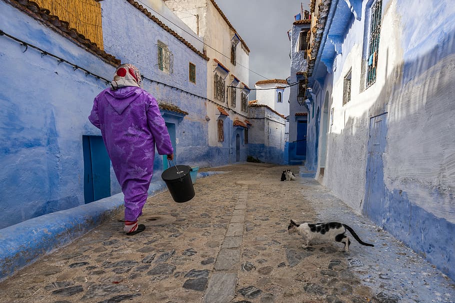 woman walking in the street with cat beside the house, person in purple suit carrying black plastic pail
