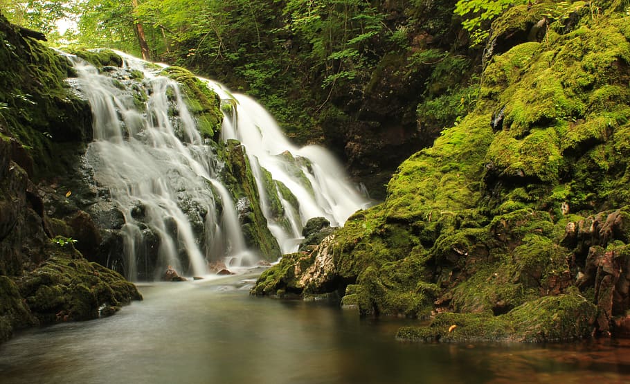 timelapse photography of a waterfalls near green leaf trees HD wallpaper