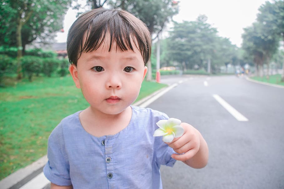 Innocence, Child, park, one person, childhood, outdoors, front view HD wallpaper