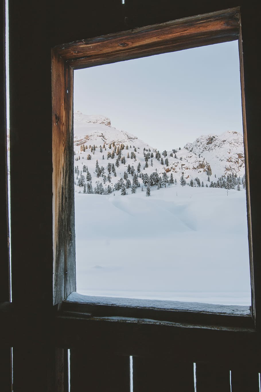 hill with trees and snow during daytime, view of mountain covered by snow at daytime HD wallpaper
