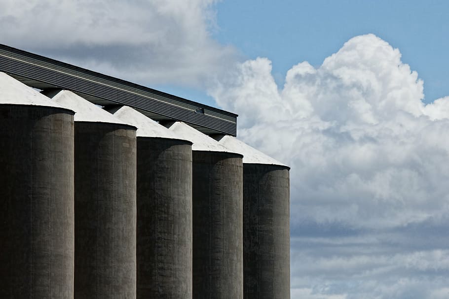 gray concrete building, grain silo, corn, storage, agriculture