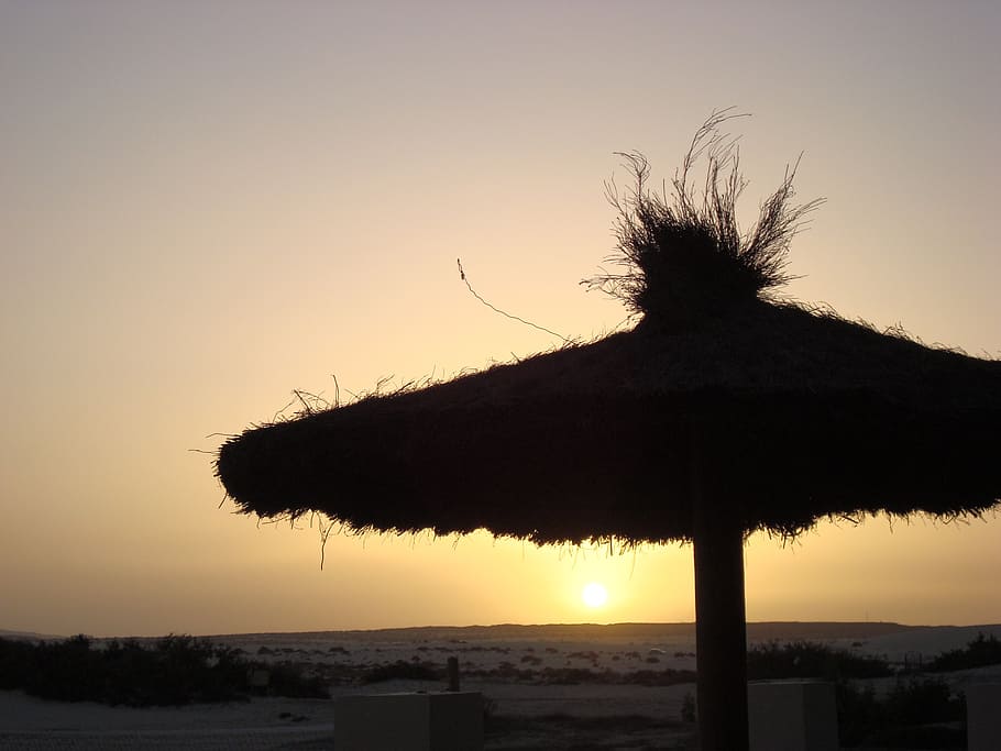 sunset, beach, parasol, holiday, romantic, sky, silhouette HD wallpaper