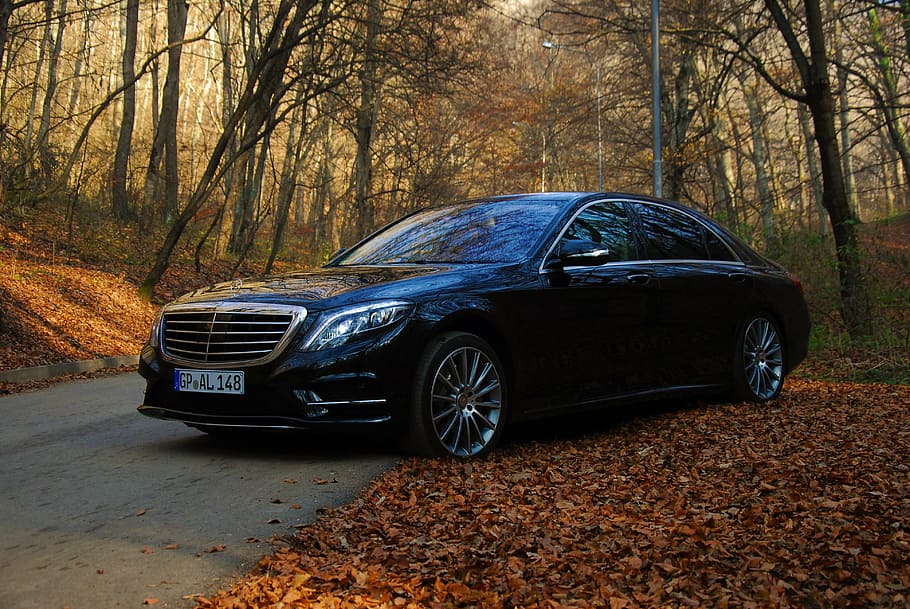 black sedan in the forest during daytime, auto, autumn, benz, HD wallpaper