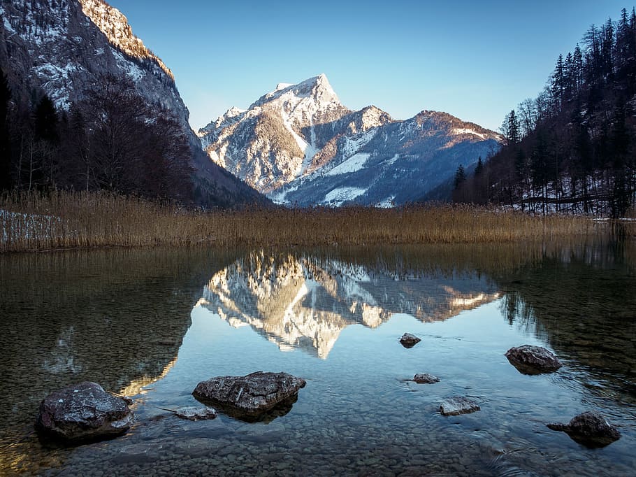 calm body of water across mountain under blue sky near black tree HD wallpaper