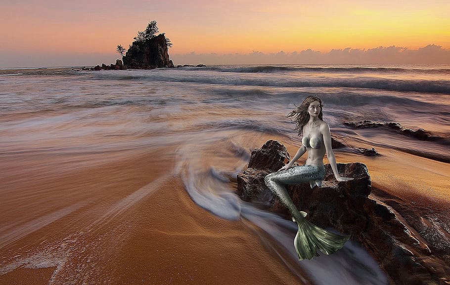 1824x2736px, free download, HD wallpaper: mermaid sitting on brown rock  illustration, siren, sea fantasy