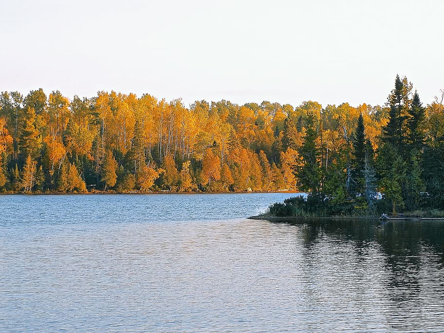 Lake, Fall, Quiet, Landscape, Nature, evening, tranquil, scenery HD wallpaper
