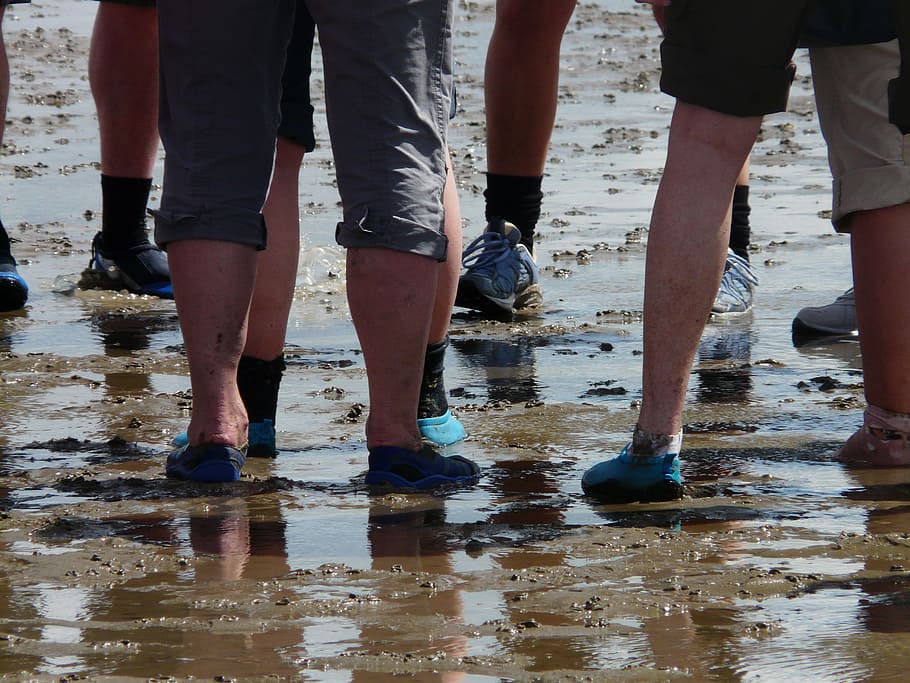 Mudflat Hiking, Hike, Wadden Sea, Feet, personal, human, schlick