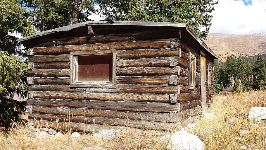log house, old, cabin, architecture, built structure, tree HD wallpaper