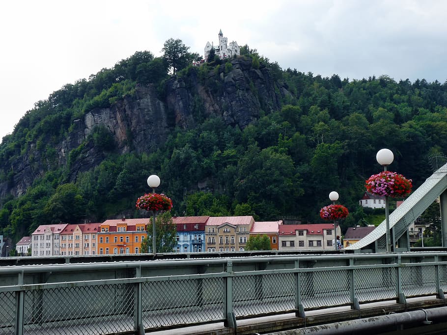 decin, castle, building, architecture, built structure, tree HD wallpaper