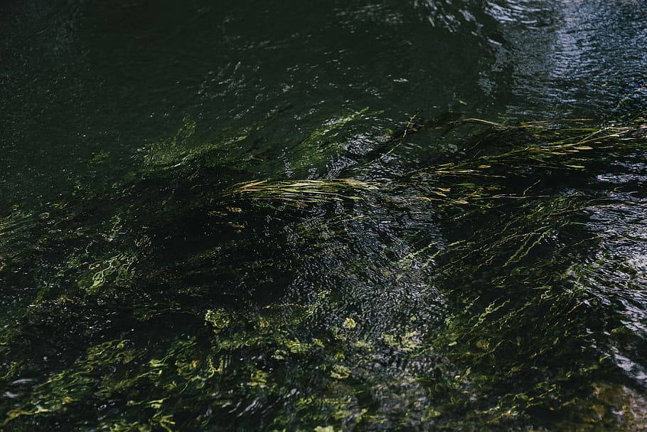 River, water, river current, nature, backgrounds, liquid, abstract HD wallpaper