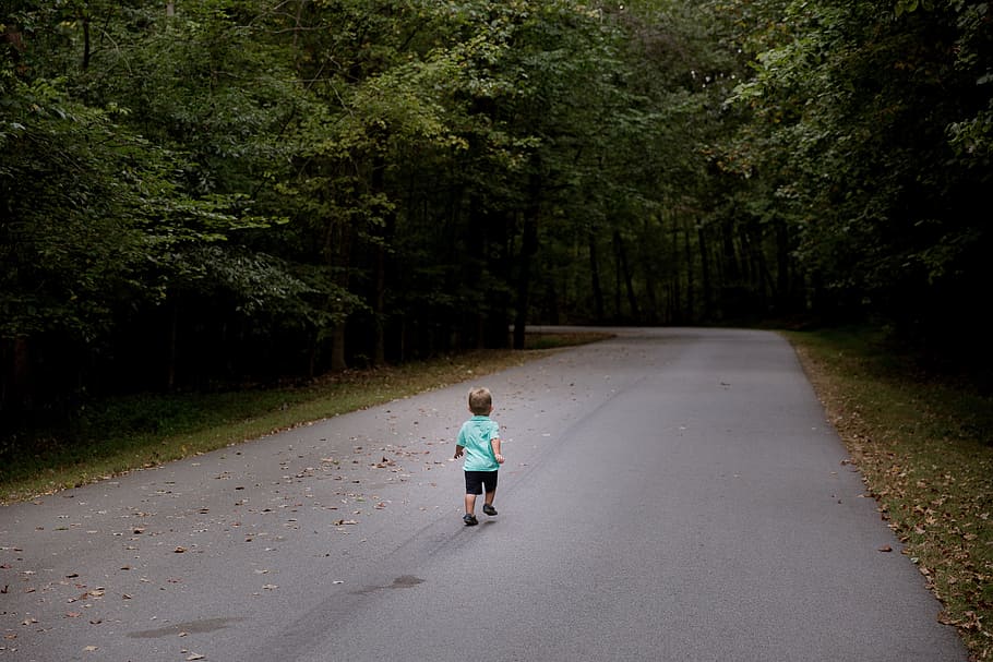 toddler about to run on road between trees, path, people, kid HD wallpaper