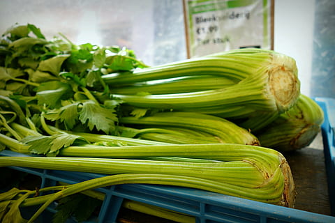 close-up photo of green vegetables on blue rack, celery, shrub celery HD wallpaper