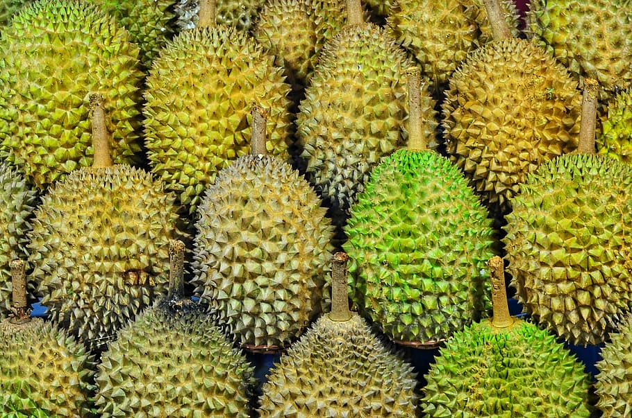 durian fruits, durian fruit, pattern, green, yellow, green color