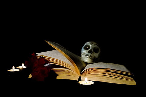 skull on opened book, halloween, candle, magic, postcard, skeleton HD wallpaper