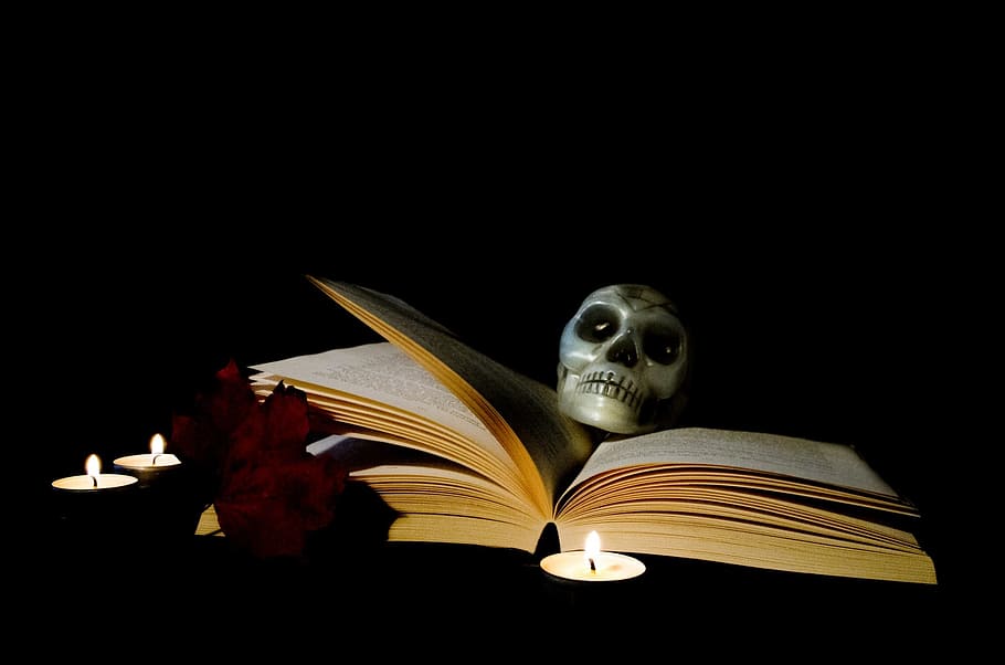 skull on opened book, halloween, candle, magic, postcard, skeleton HD wallpaper