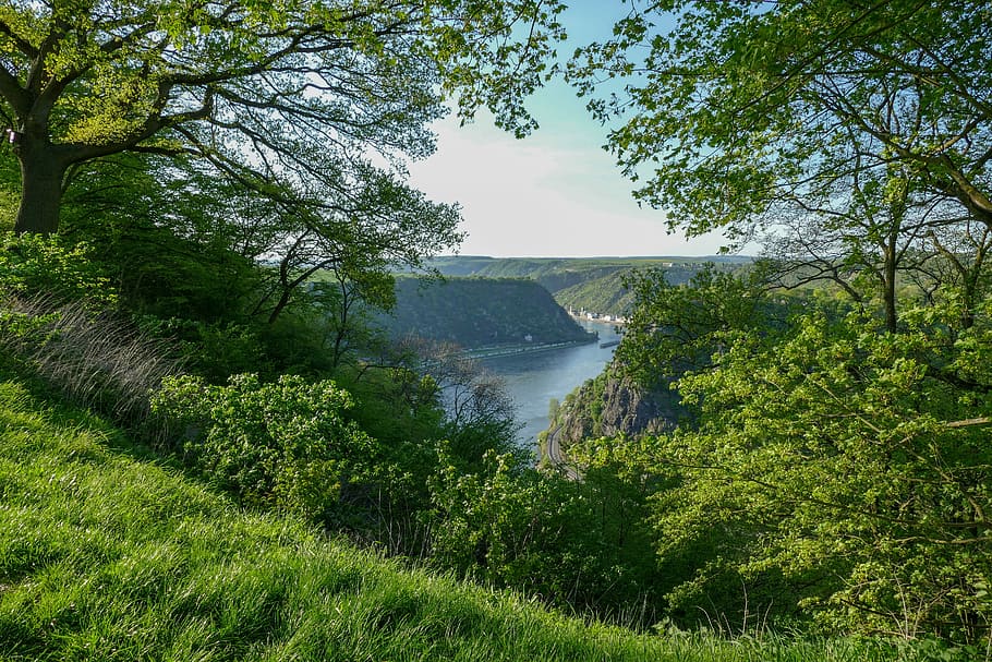 body of water near trees, loreley view urbar, rock, sage, river HD wallpaper