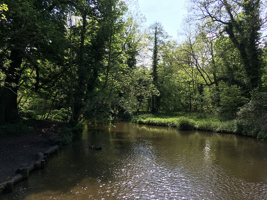 River, Sun, Nature, Water, Outdoor, park, tree, sunny, landscape HD wallpaper