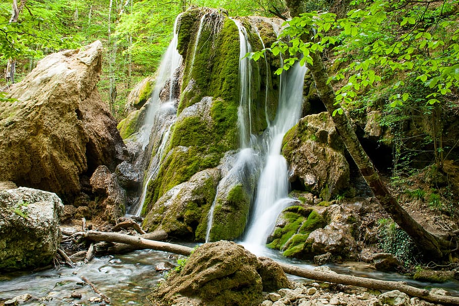nature, water, waterfall, stream, flowing water, forest, beauty in nature HD wallpaper