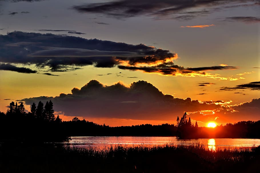 silhouette of trees during golden hour, sunset, twilight, sky HD wallpaper