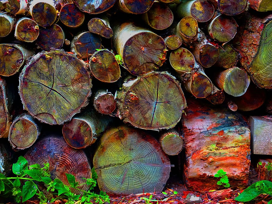 logs, wood, trunk, bark, grain, rustic, stack, large group of objects HD wallpaper