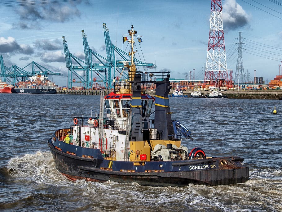 blue and white cargo ship on water, antwerp, belgium, boat, tugboat, HD wallpaper