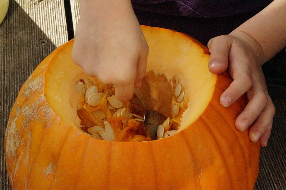 person carving pumpkin, pumpkins, orange, bright, autumn, autumn decoration, HD wallpaper