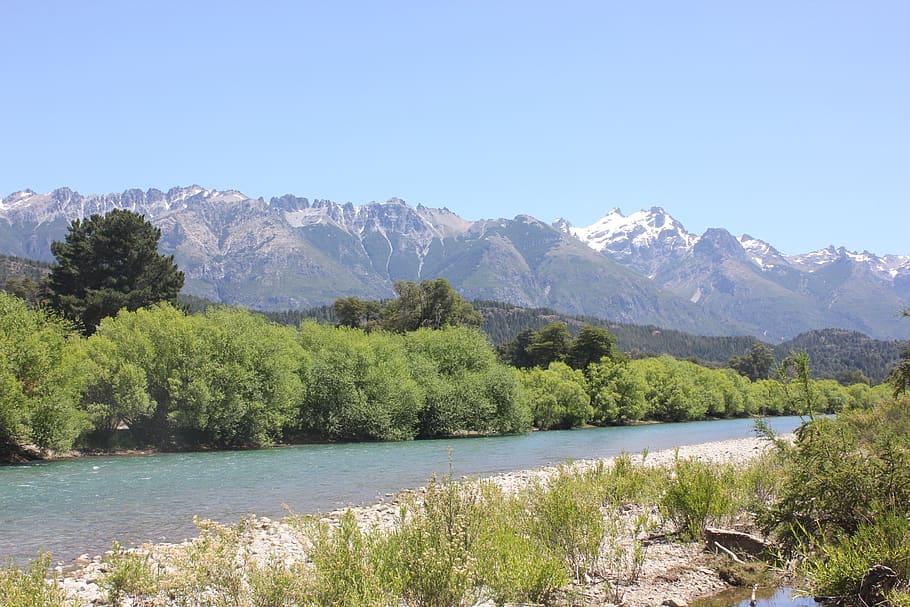 river, peace, brook, silence, plant, tree, mountain, water HD wallpaper