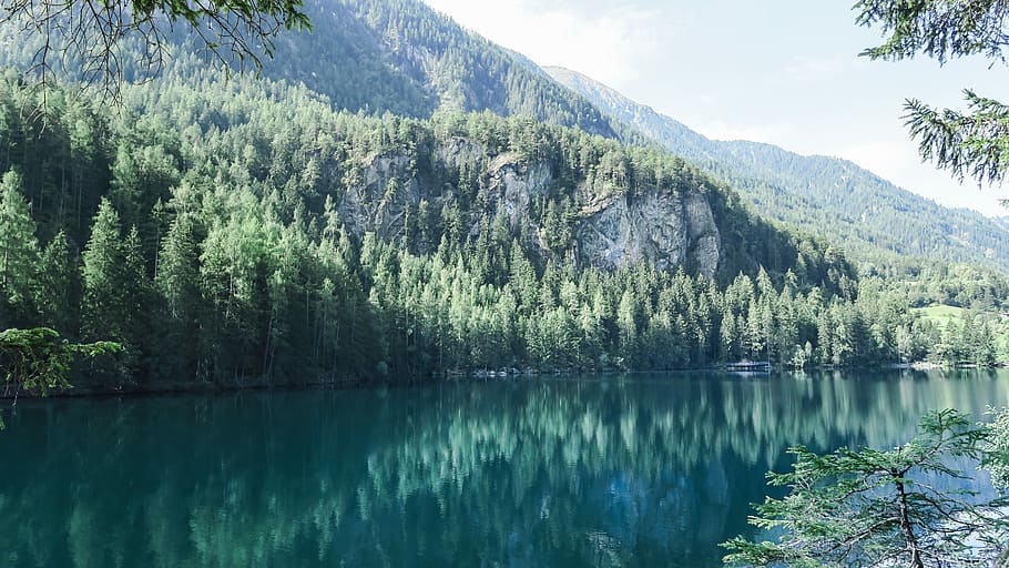 green pine trees near body of water with distance to mountain, Moraine Lake, Alberta Canada HD wallpaper