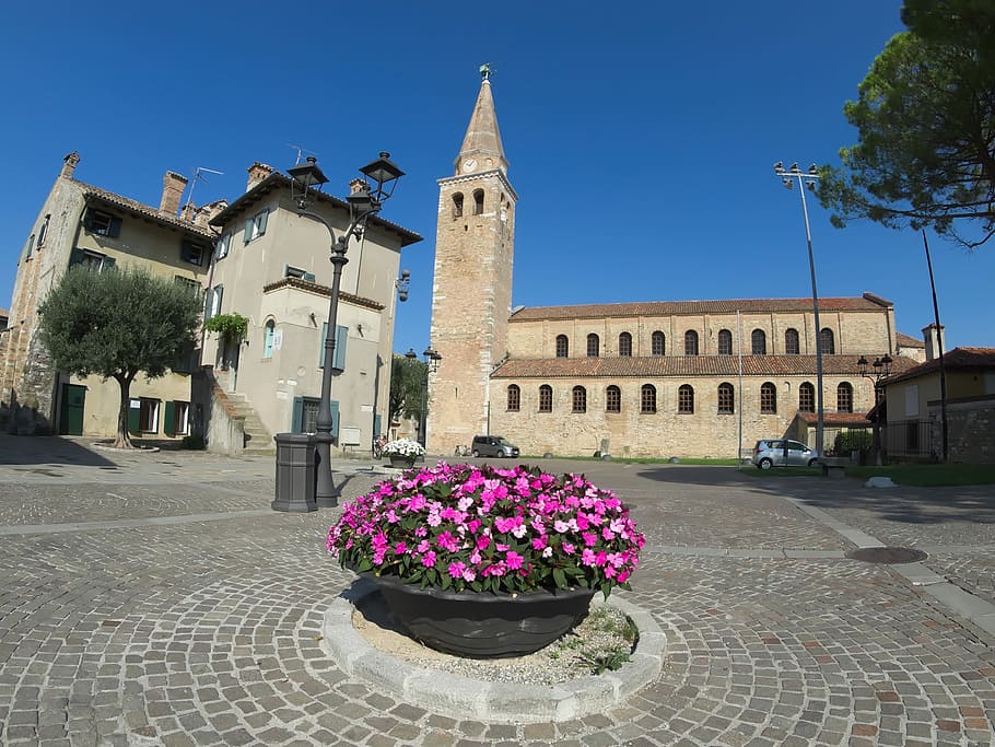 Degree, Basilica, Piazza, Cathedral, italy, building exterior HD wallpaper