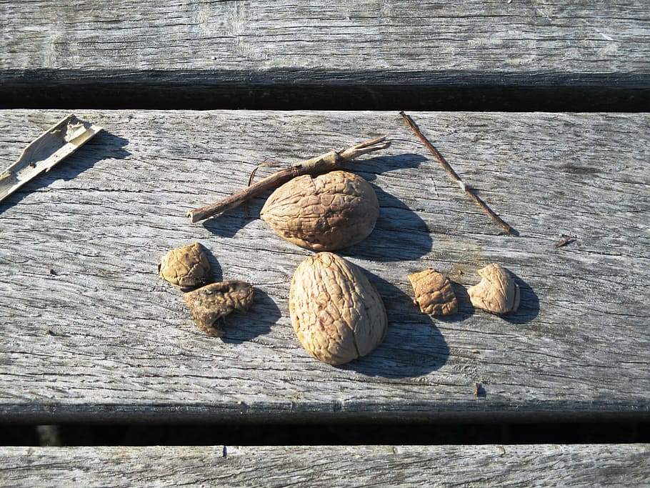 walnut shells, nutshells, walnuts, tree nuts, bank, weathered HD wallpaper