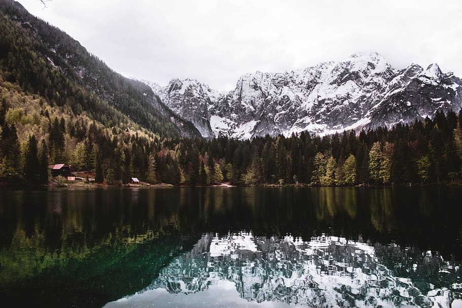 lake of life, body of water surrounded by trees at daytime, mountain HD wallpaper