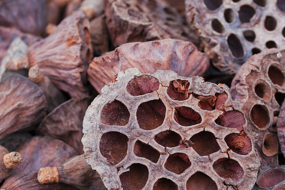 food, background, close, texture, nature, pattern, close to HD wallpaper