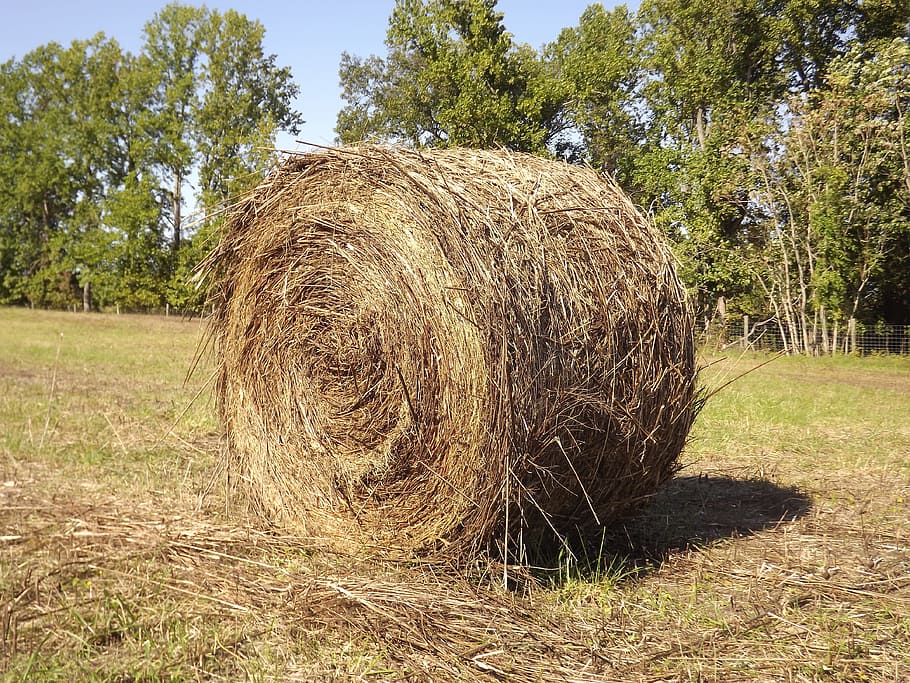 haystack, farm, haystacks, paja, pajar, granja, plant, field HD wallpaper