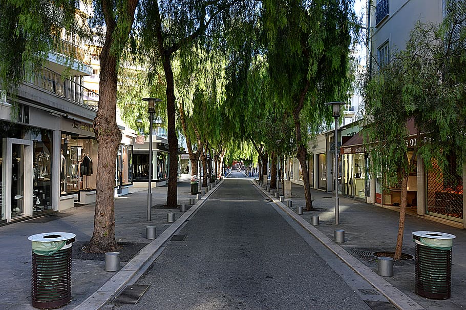 street, trees, city, nice, côte d'azur, building, city centre HD wallpaper