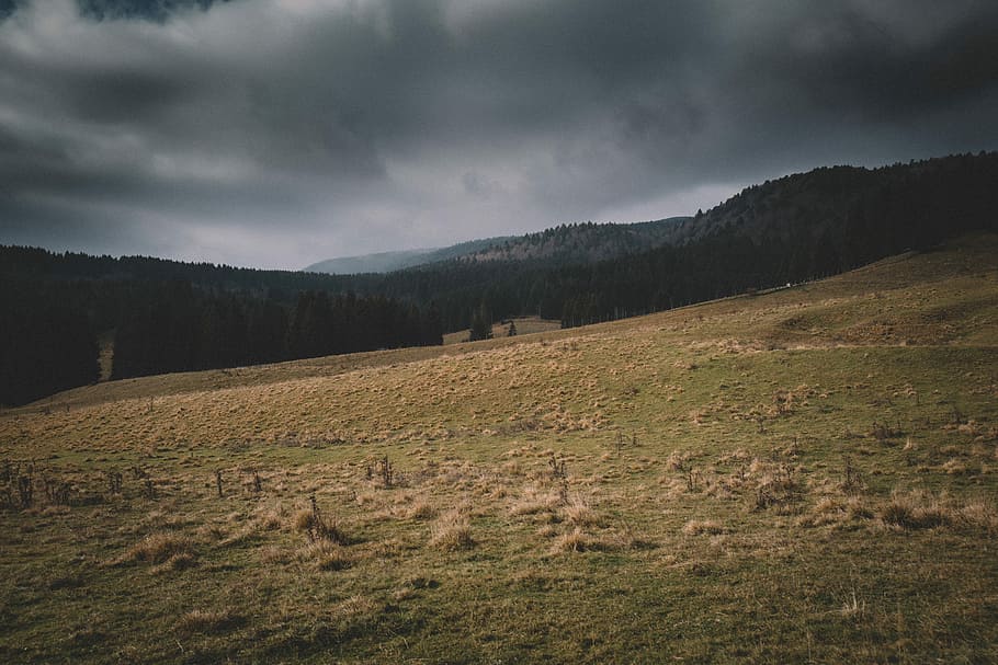 green mountain, landscape photography of open field at daytime HD wallpaper